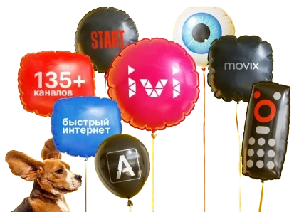 Услуги Дом.ру в деревне Малые Колпаны